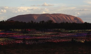 Bruce Munro, Field of Light, Uluru, 2016; photo by Mark Pickthall