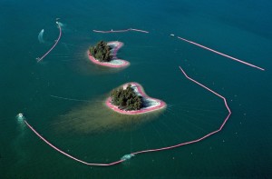 Christo and Jeanne-Claude, documentary photograph of Surrounded Islands during installation, Biscayne Bay, Greater Miami, Florida, 1980–83; photo by Wolfgang Volz, © Christo 1983