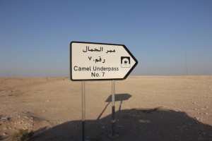 a road sign in Qatar on the way to Richard Serra's East-West/West-East, photograph by Molly Waterman for Hyperallergic