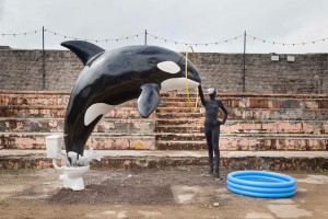 A killer whale jumps from a toilet, through a hoop, into a baby pool. Installation view of a work by Banksy, Dismaland, 2015; photo by Alicia Canter for the Guardian