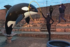 A killer whale jumps from a toilet into a baby pool. Installation view of a work by Banksy, Dismaland, 2015; photo by Carrie Seim for Architectural Digest