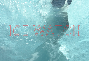 Video still from #IceWatchParis © 2015 Ólafur Elíasson