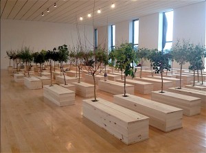 Partial installation view of Yoko Ono’s Ex It (100 coffins, 100 trees) at Musée d’Art Contemporain in Lyon, 2016; image via Télé Lyon Métropole