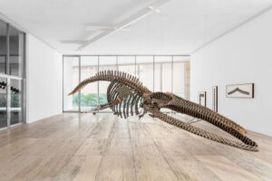 Gabriel Orozco, Dark Wave, 2006, calcium carbonate and resin, installation view at Museo Jumex, 2025, photo by GLR Estudio, courtesy of Museo Jumex